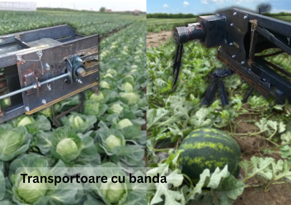 Transportoare cu banda 01.png